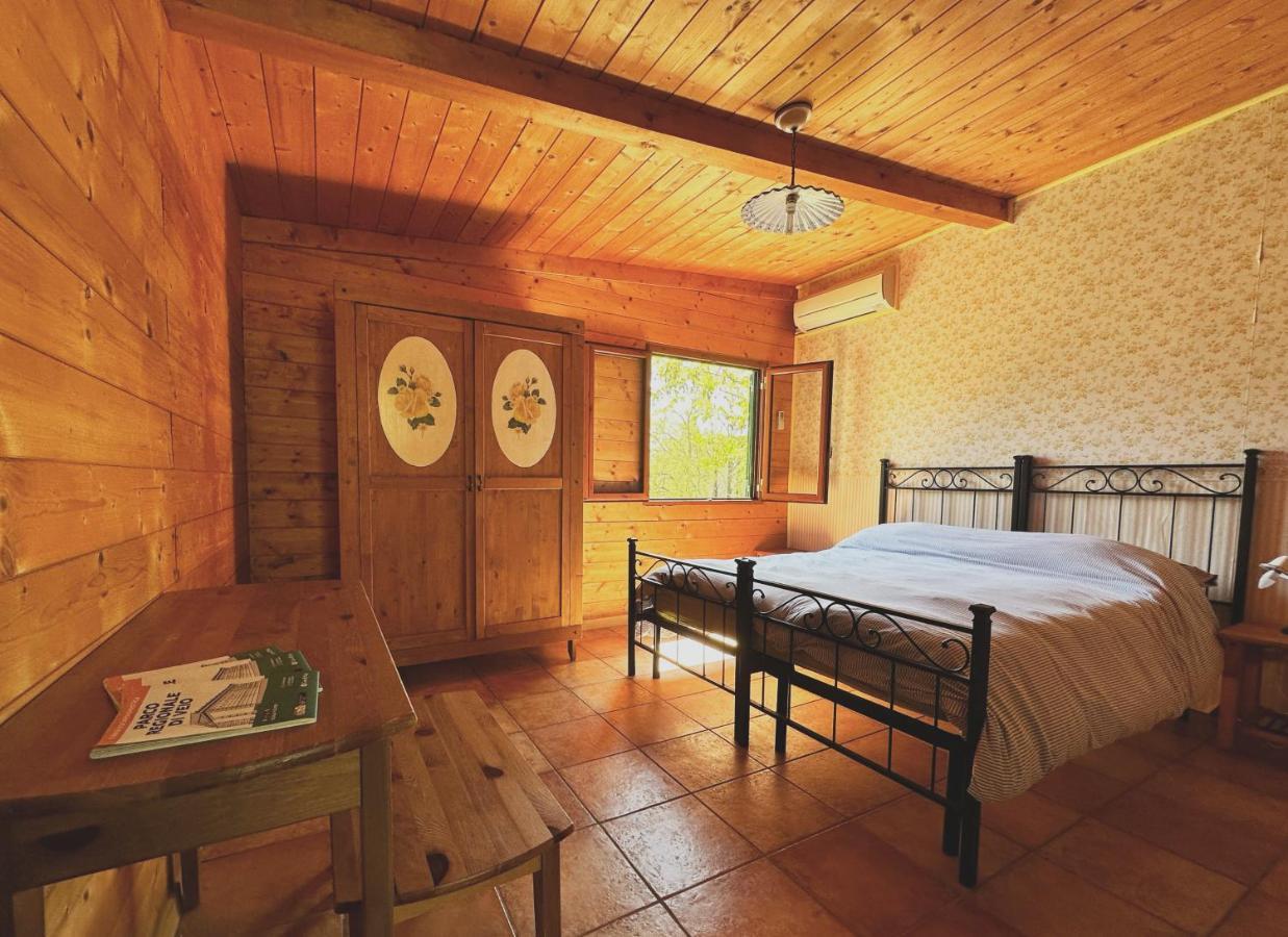 Night In The Wood Sorbo Villa Campagnano Di Roma Dış mekan fotoğraf
